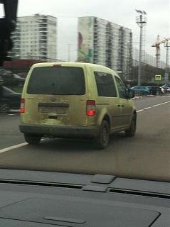 Охота на Caddy.-cliy_f4uqse.jpg