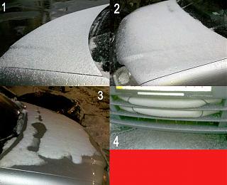 Муки перерождения моего зверя-img_20121203_110549.jpg