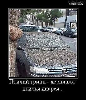 Флудилка-getimageca7aezme.jpg