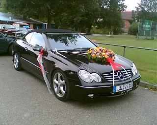 Головастик-bild007b.jpg