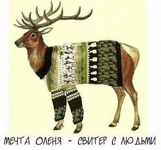 Приколы из интернета-ekycyxcsvuu.jpg