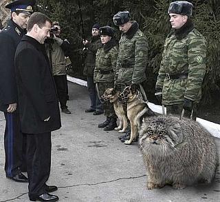 Фотоподборки-image.jpg