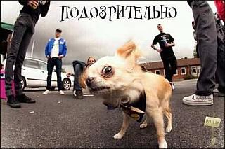 Аккумулятор на кадди-getimagecabe85ql.jpg