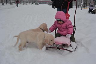 Домашние питомцы.-3-022_1.jpg