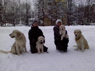 Домашние питомцы.-img_20130113_160404.jpg