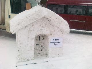 Интересные фотографии, сделанные членами клуба-25012013010.jpg