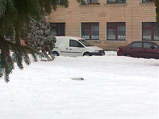 Охота на Caddy.-15012013122.jpg