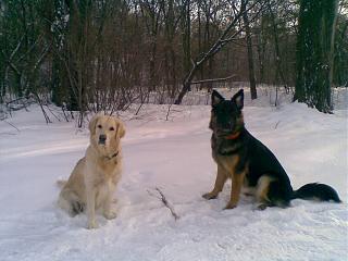 Домашние питомцы.-24012013-002-.jpg