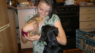 Наши дети и дети детей.-2012-10-17-103.jpg