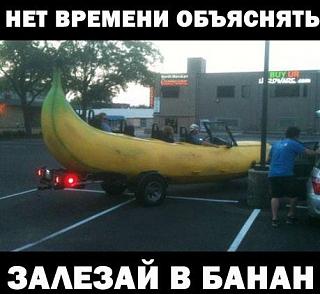 Для поднятия настроения!-vgqqerkfw9q.jpg