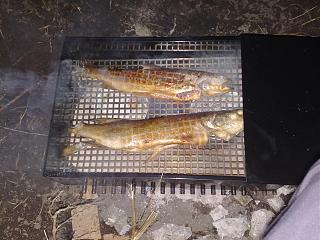 Рыбалка-01102008079.jpg