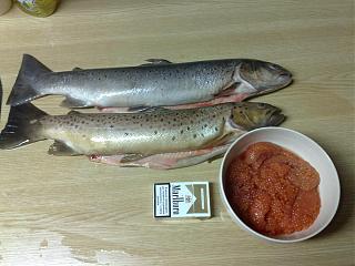 Рыбалка-29102008187.jpg