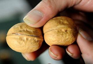 Интересные фотографии, сделанные членами клуба-1361334807_nuts_01.jpg