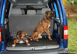 Мой Caddy-2010_jul_04.jpg