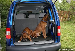 Мой Caddy-2010_jul_05.jpg