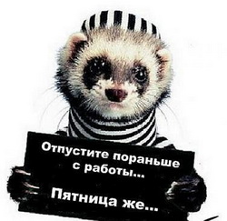 Название: пятница.jpg
Просмотров: 294

Размер: 37.4 Кб