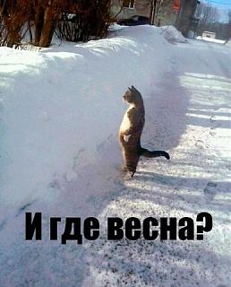 Приколы из интернета-getimage2.jpg