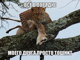 Для поднятия настроения!-podborlx.jpg