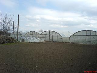 Прохожий-dsc00330.jpg