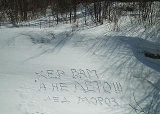 Для поднятия настроения!-o1kvkdyv7sk.jpg