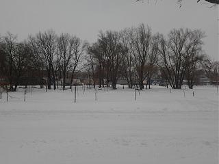 Интересные фотографии, сделанные членами клуба-2013-03-23-12.21.37.jpg