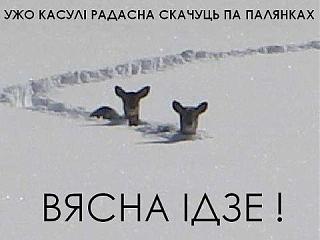 Для поднятия настроения!-484022_585571901467730_307829862_n.jpg