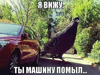 Для поднятия настроения!-aistbhyu-au.jpg