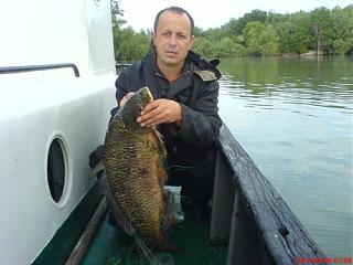 Прохожий-dsc00661.jpg