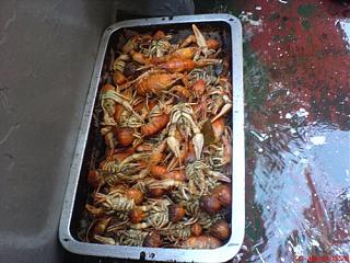 Прохожий-dsc00387.jpg