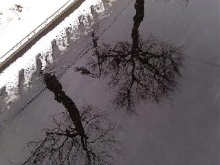 Интересные фотографии, сделанные членами клуба-img_20120330_095959-800x600-.jpg