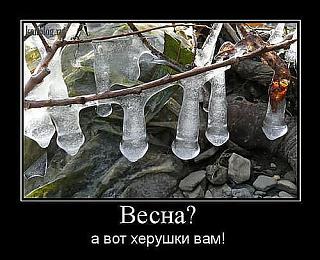 Для поднятия настроения!-getimage2222.jpg