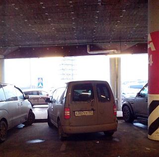 Охота на Caddy.-.jpg