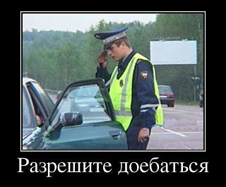 Для поднятия настроения!-ivouhox7qgs.jpg