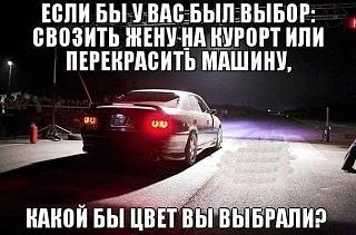 Для поднятия настроения!-dad8cn9glbw.jpg