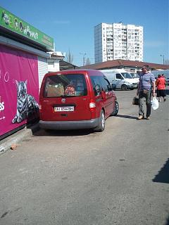 Охота на Caddy.-ai8344bh.jpg