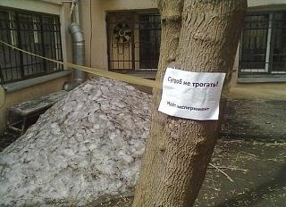 Для поднятия настроения!-0m7ck-ebui0.jpg