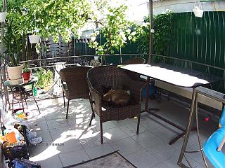 DOD F900LS-d1649280.jpg