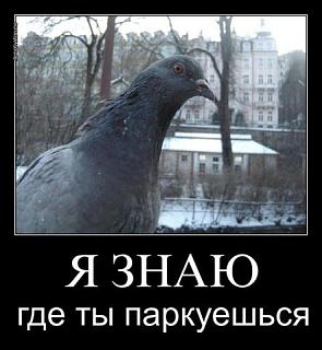Для поднятия настроения!-getimage.jpg