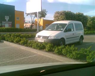 Охота на Caddy.-083.jpg