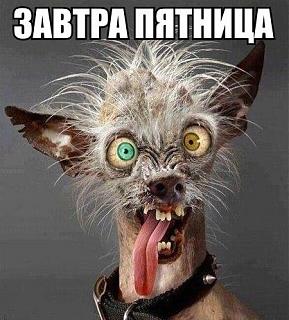 Ура,пятницаааа!!!-n-ybhz_ze9y.jpg