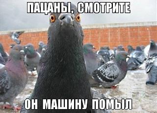 Закон подлости работает!-36.jpg