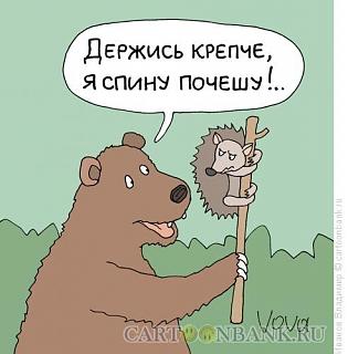 Для поднятия настроения!-chesalka.jpg