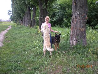 Домашние питомцы.-dscn3503.jpg