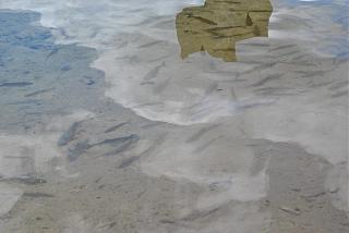 Хорватия 2013-dsc_0222.jpg