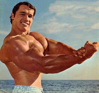 Запаска в любое время года :)-arnold-schwarzenegger-body.jpg
