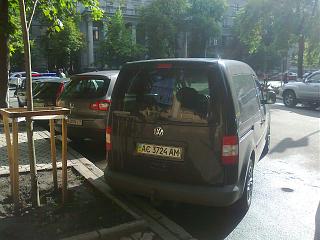 Охота на Caddy.-4334.jpg