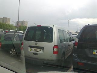 Охота на Caddy.-4343.jpg