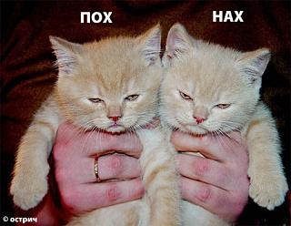 Фотоподборки-image.jpg