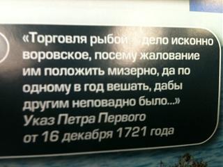 Хобби (наши увлечения)-hbrjk.jpg