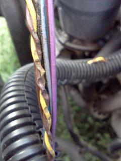 Ошибка 16497 - Intake Air Temp. Sensor (G42): Signal too High-img222.jpg